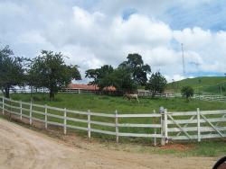 #4627 - Fazenda para Venda em Jacareí - SP - 3